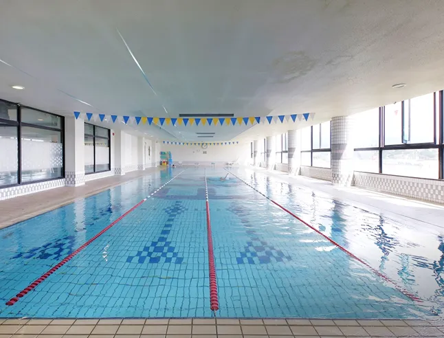 p-for-biginner-facility-pool